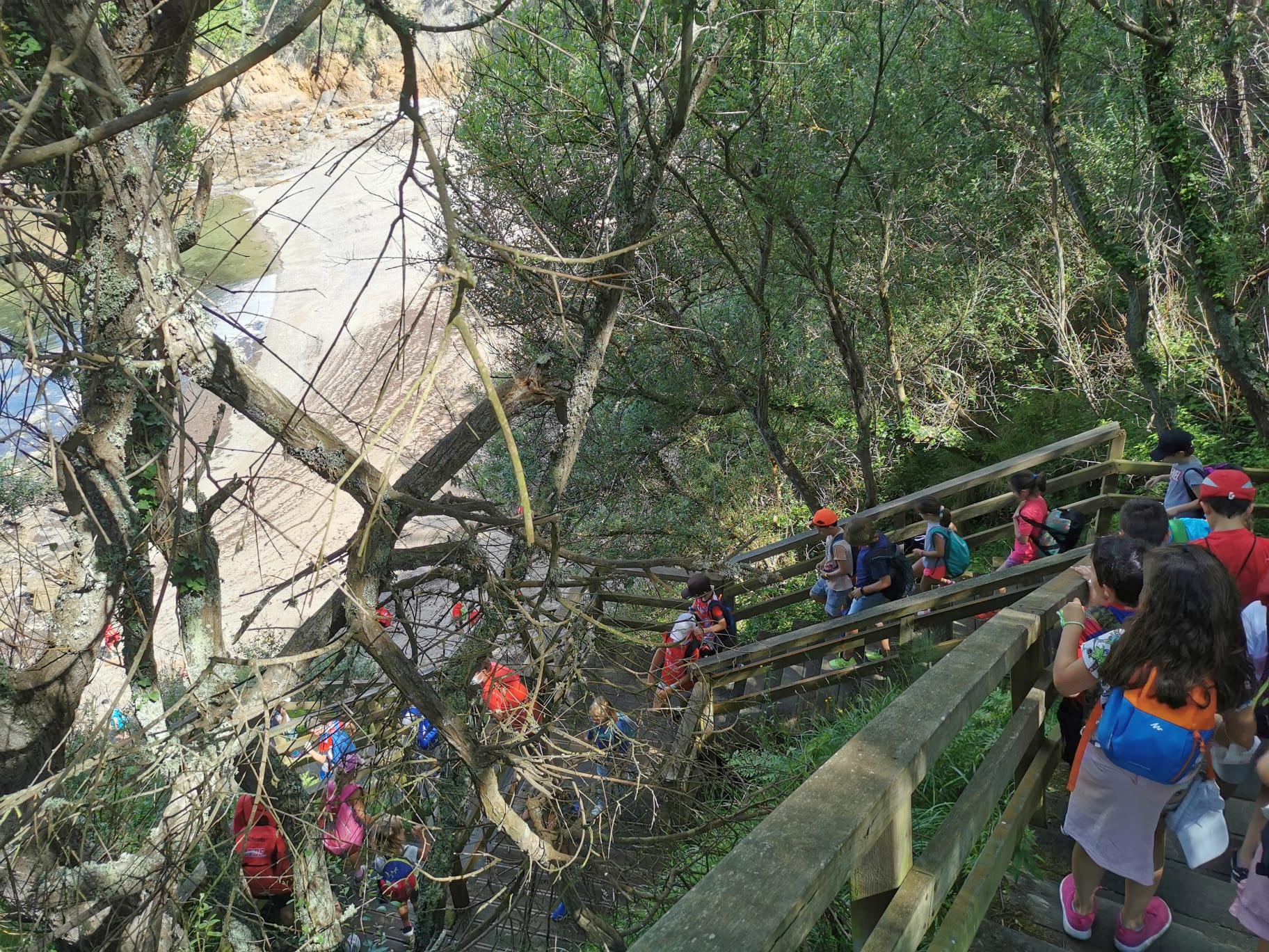 Campamento de Verán MERA TRI CAMP 2021